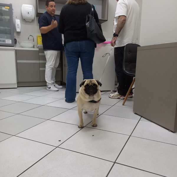 IMG-20240816-WA0075 IMG-20240816-WA0075